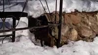 ЛЁША ЗАКОН - Сами не жили, и вам не дадим.mp4