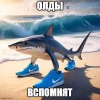 IMG9883.jpeg