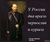 175545094423731798.jpg