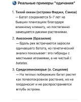 IMG9087.jpeg