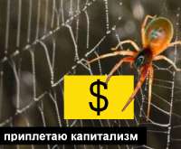 приплетаю капитализм.png