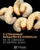 images (12).jpg