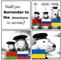1540215282134761625.jpg
