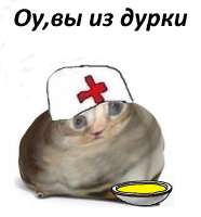 e0c87192c3f5e4b1d24bae779382faf8.jpg