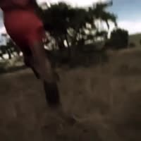174759870618315705.mp4