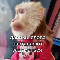 17476826918210.mp4