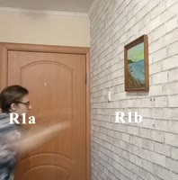 mordvix rage.webm