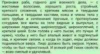 IMG20250725030815.jpg