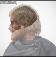 174860535273485874.mp4