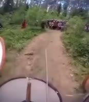 igVideo.mov