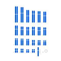 datase6384massresultsimagesse6384Central-Russiachromopaintingv3.png
