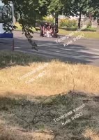 17519128626160.mp4