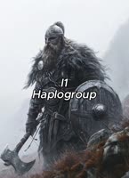 175017732899831905.mp4