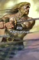 175017754018325683.mp4