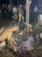 17501586920143.mp4
