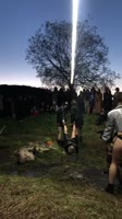 17501557634692.mp4