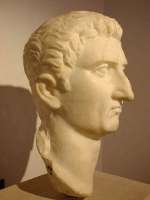 Nerva.jpg