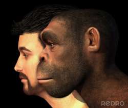 image (7).png