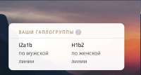 изображение.png