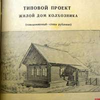 160634399812448630.jpg