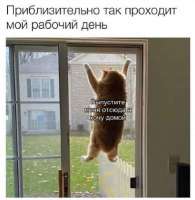 80eb32cd-9dd5-4179-bb36-9f1c5e644cb4.jpg