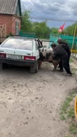 Евгений Николаевич.mp4