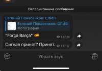 IMG1988.jpeg