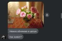 174994402369832128.jpeg