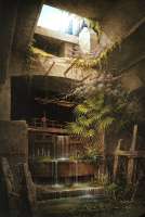 1999-La-Caverne-vegetation-scan-689x1024.jpg