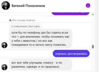 175016436300678730.jpeg