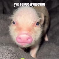 SnapInsta.toAQOv9IYb1HICwU1QCirtqecu3WNcg89JvTUmsdhR81KasQ5JgTWW6G64XwvHUsiFOr6ZwBHynJEa0wQDAAIvJArxHHwmnYWsDtG3mc.mp4
