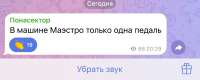 175139657904974447.jpeg