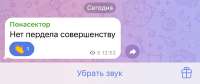 175153564613788322.jpeg
