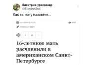 175209418354450835.jpeg