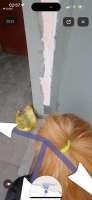 IMG6407.png