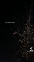 v09044g40000cnuqs3fog65lvaljiq4g.mp4