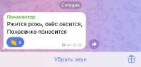 17542996532706948.jpeg