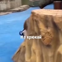 VID20250812223755125.mp4