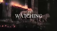 17311060878120.mp4