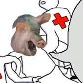 IMG0852.jpeg