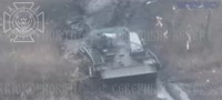 абрамс и брэм.mp4