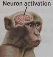 526b7f84-ad67-4298-ae52-2e871c369ecf.webp