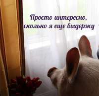 Сколько я выдержу.jpg