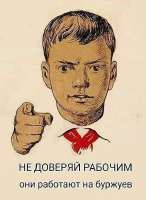 17468259128800.jpg