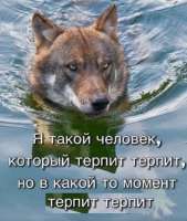 17469188326211.png