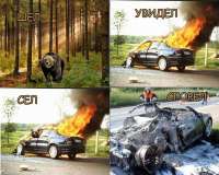медведь шёл увидел сел сгорел.jpg