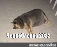 чернобаевка наш.jpg