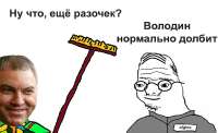 володин долбит нормально.jpg