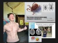 изображение.png
