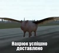 Росиянская летающая свинья.mp4
